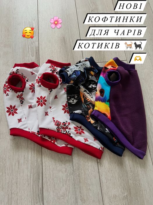 Одяг для котів Сфінксів