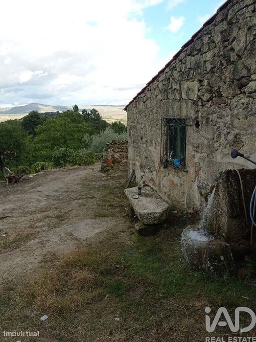 Terreno Agrícola em Sendim