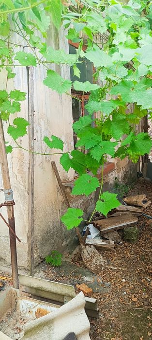 2 к/к(жилкоп).ул.Декабристов пр.Центральный