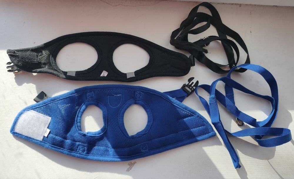 Шлейка для маленьких собак