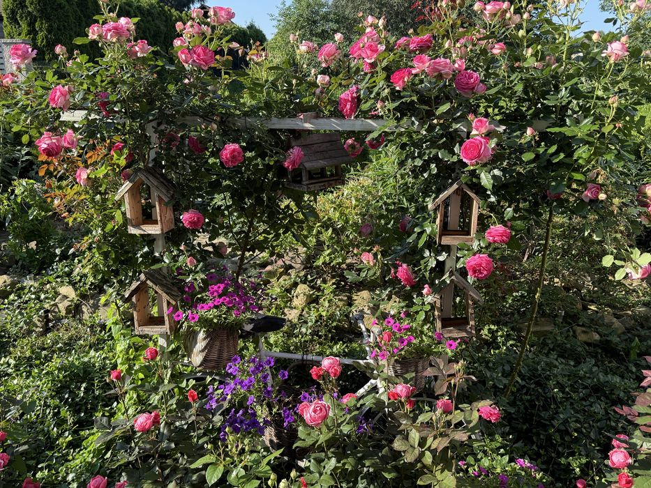 Pielegnacja ogrodów