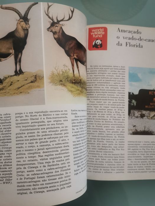 Animais em perigo