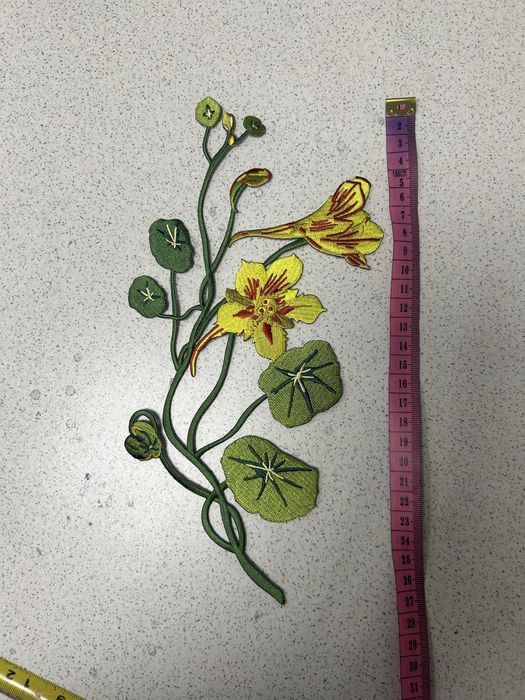 Termo aplikacja żonkile kwiaty