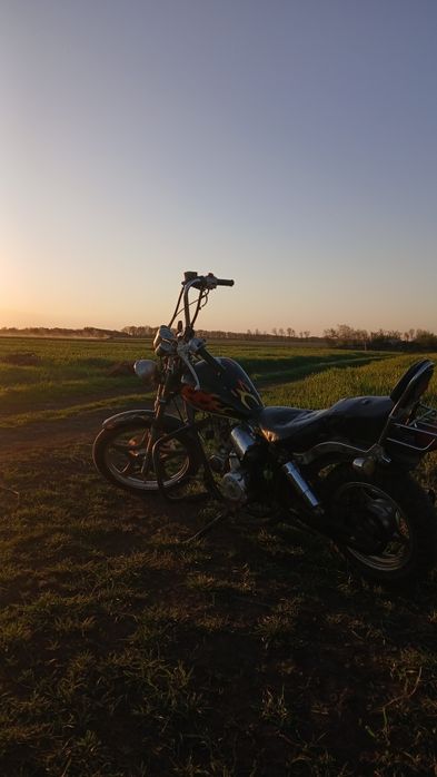 Вайпер харлей 100кубов