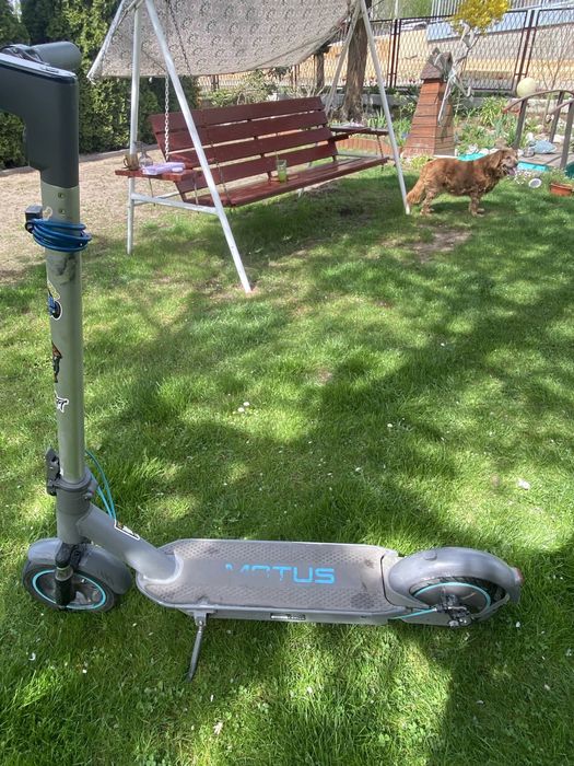 Hulajnoga Motus Scooty 10 plus