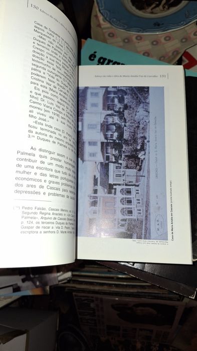 Esboço da vida e obra Maria Amália Vaz Carvalho