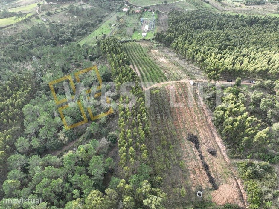 Terreno Agrícola de 8875m2 - Excelente exposição solar - Sobral da ... — Torres Vedras (São Pedro, Santiago, Santa Maria Do Castelo E São Miguel) E Matacães, Lisboa