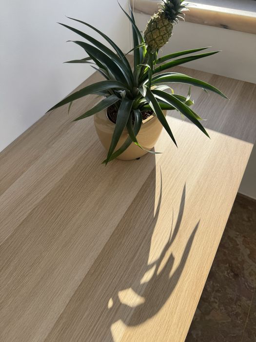 Mesa secretaria