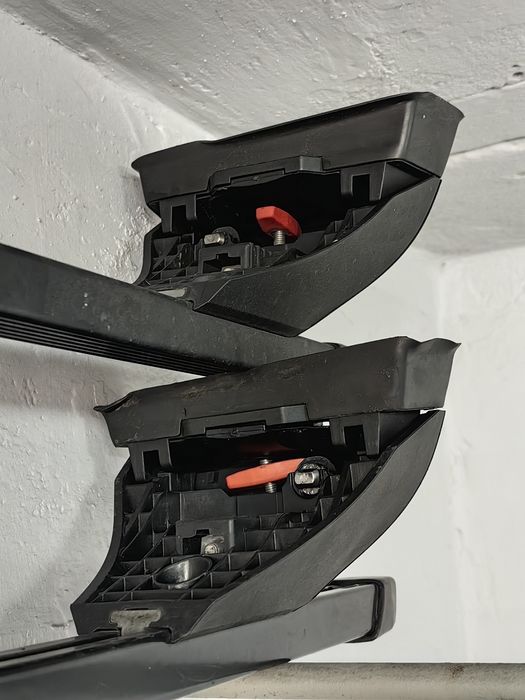 Belki dachowe Taurus