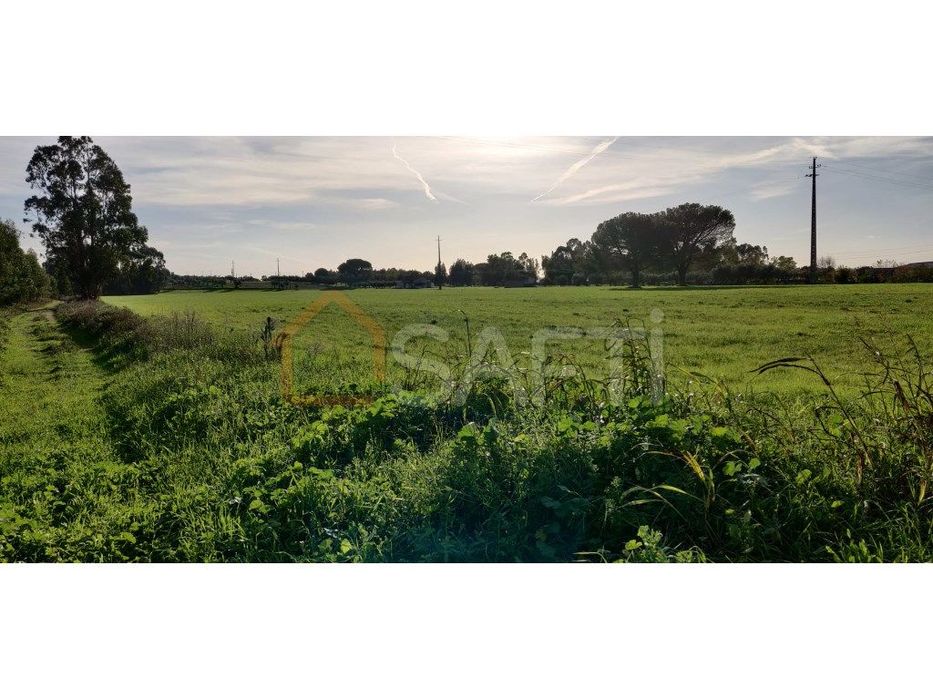 Terreno Rústico para Venda - Charneca de Alcorochel, Vale Barco