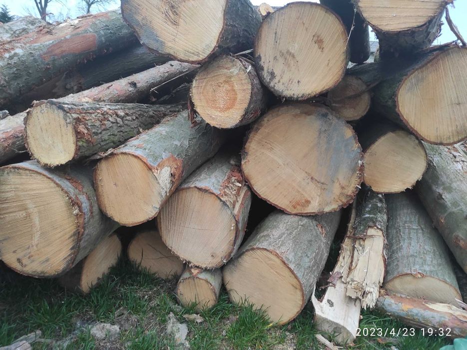 Suche Drewno kominkowe opałowe