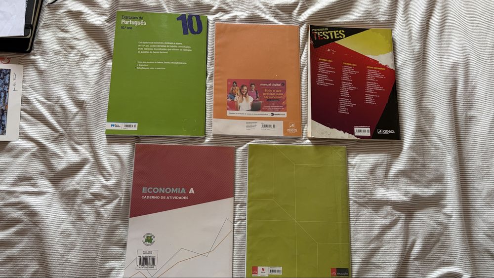 manuais e caderno atividades 10 ano