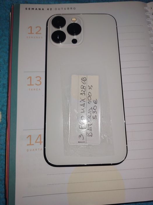 iPhone 13 pro max