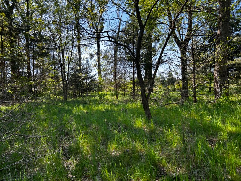 Działka rolno-leśna 3297m2 Radom ul Florentyny Jakubczak