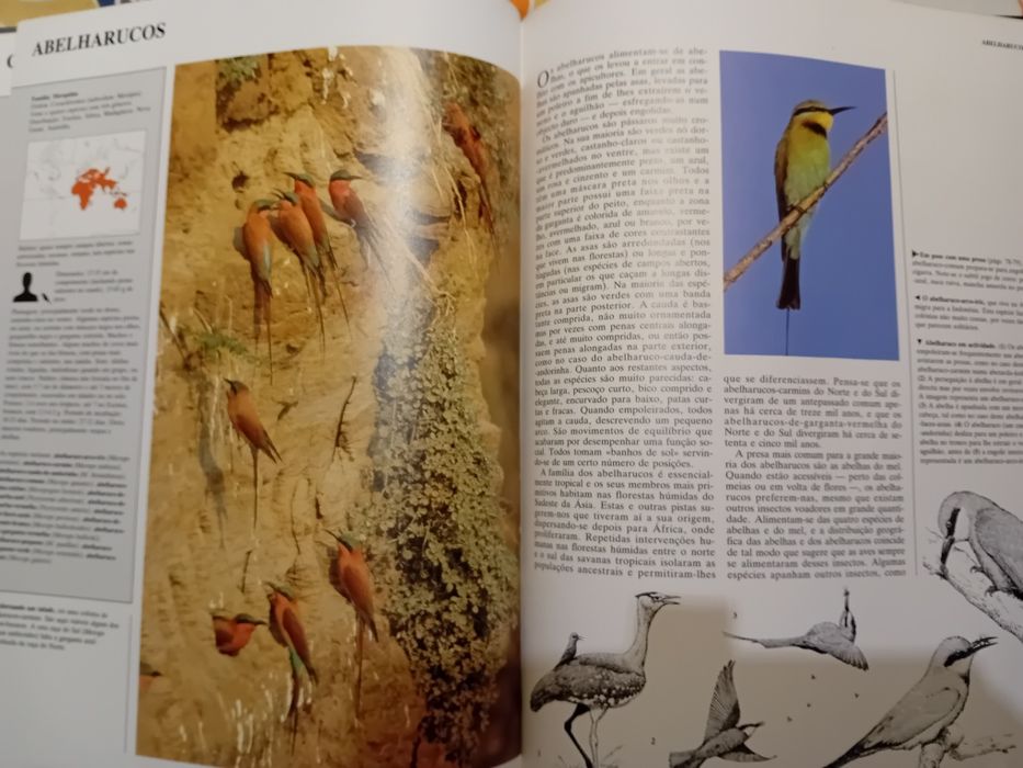 Animais de todo o mundo