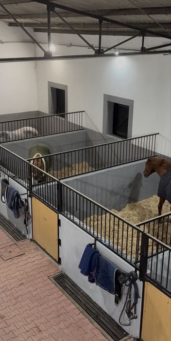 Cavalos a Penso ou Pasto - Espinho/Vila Nova de Gaia