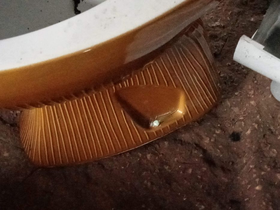 Vendo, um espelho, uma sanita, eum lavatório.