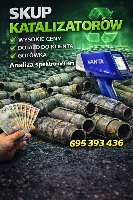Skup Katalizatorów Skup Katalizator