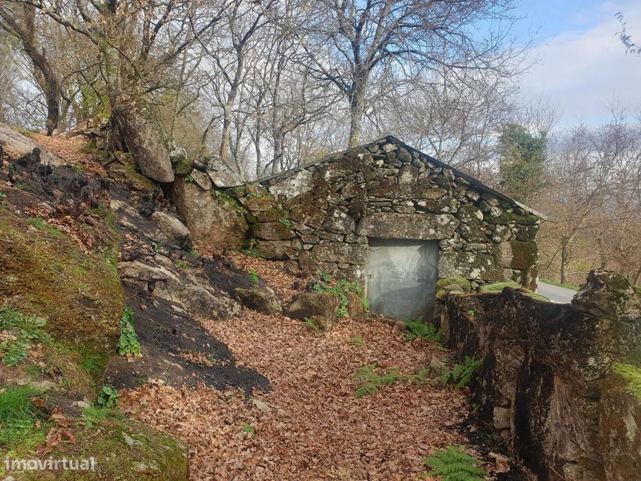 Propriedade na Aldeia de Asnela – Oportunidade Única para Turismo ou A — Refojos De Basto, Outeiro E Painzela, Braga