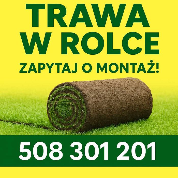 Trawa w rolce, trawa z rolki, trawa, trawnik rolowany - TRAWNIK POLSKI