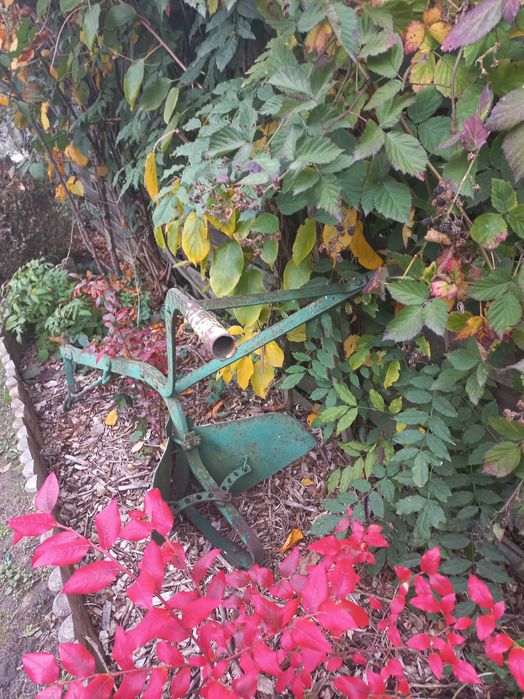 Okazja sprzedam płużek