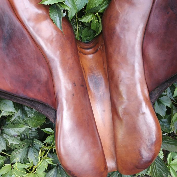 сідло на коня, недоуздок, щітки