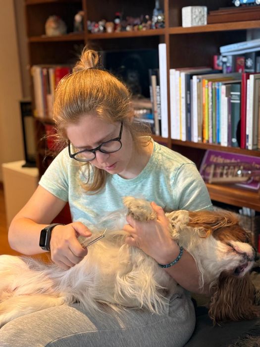 Dog Walking e Pet Sitting - Benfica