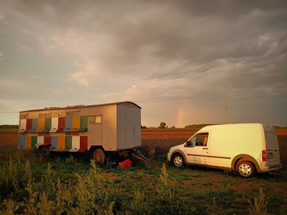 Sprzedam pasiekę - Wóz pszczelarski wraz z ulami i rodzinami