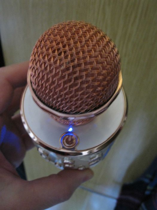 Микрофон беспроводной караоке с динамиком Wster WS 858