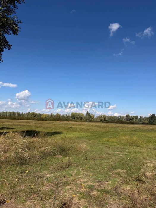 Продам мальовничу дачу в дачному кооперативі «Фотон»