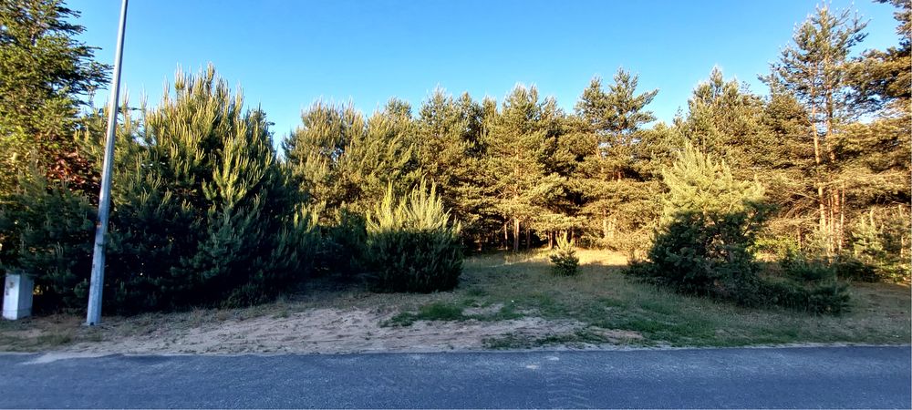 Działka w Kliczkowie na sprzedaż - Widok 2