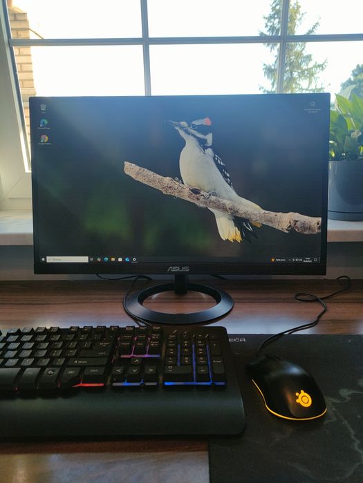 Komputer stacjonarny 1050 ti+ monitor Asus 24"  + klawiatura gratis
