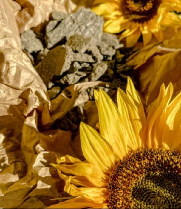 Соєва макуха, соевый жмых, соняшникова