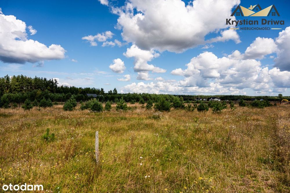 Działka budowlana w Załakowie, gm. Sierakowice ! - Widok 3