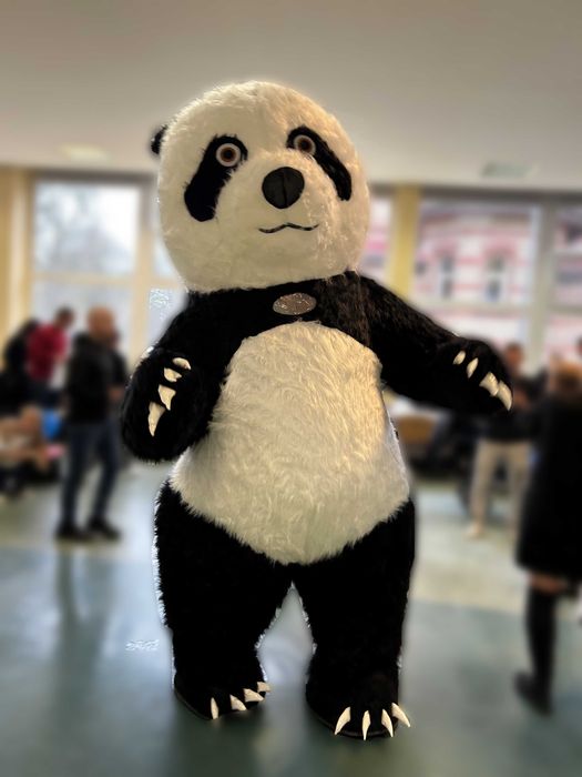 Atrakcja na imprezę Maskotka Ogromny Miś Panda Animator