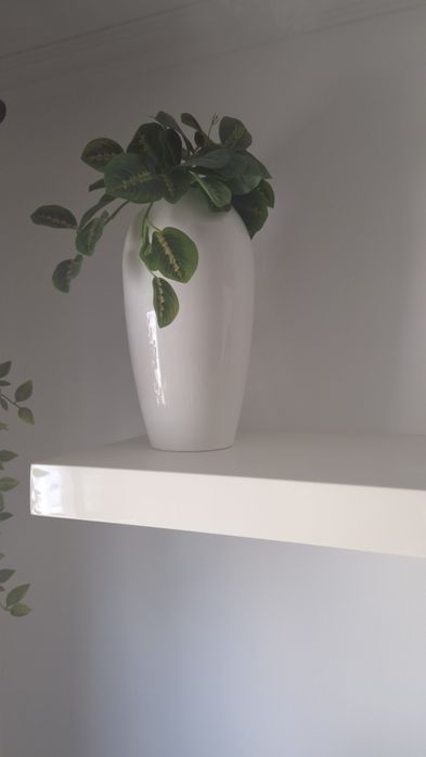 Conjunto Decoração: Plantas Verdadeiras + Plantas Artificiais em Jarras + Jarra de Vidro + Regador GRÁTIS