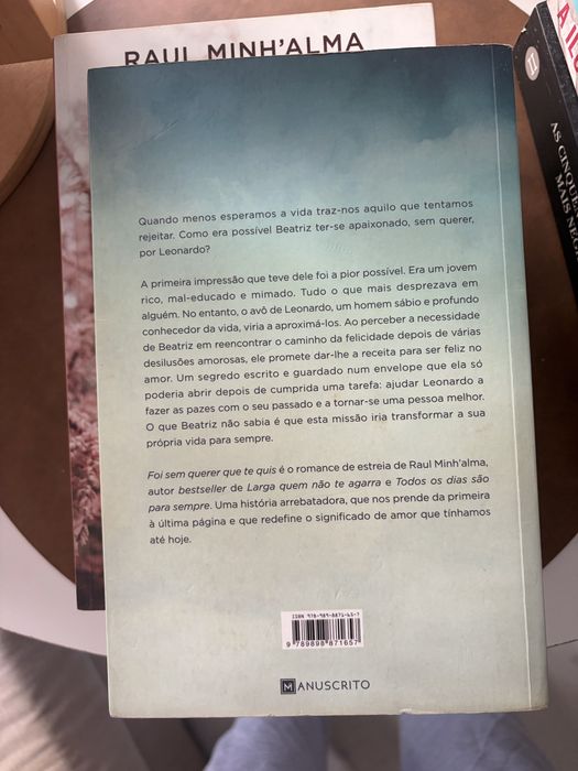 Livro Foi sem Querer que te quis