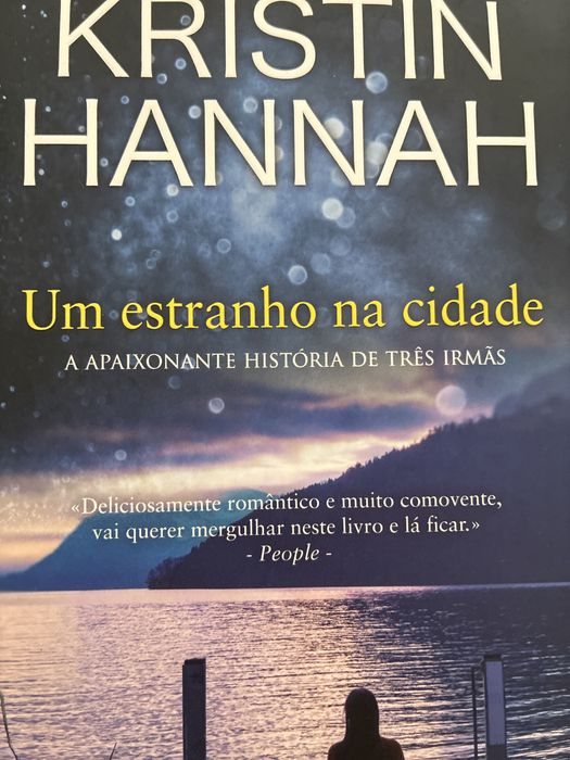 Livro Um Estranho na cidade