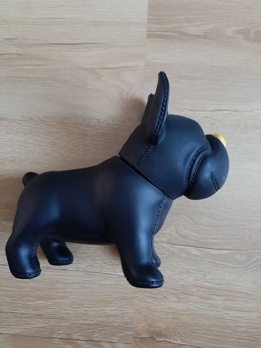 Pies skarbonka duży