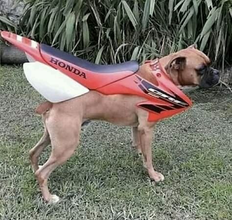 Honda Crf 220cc