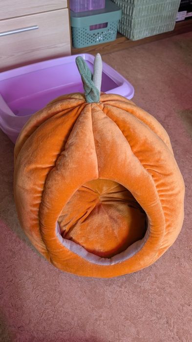 Лежанки для кота, маленької собаки, лоток