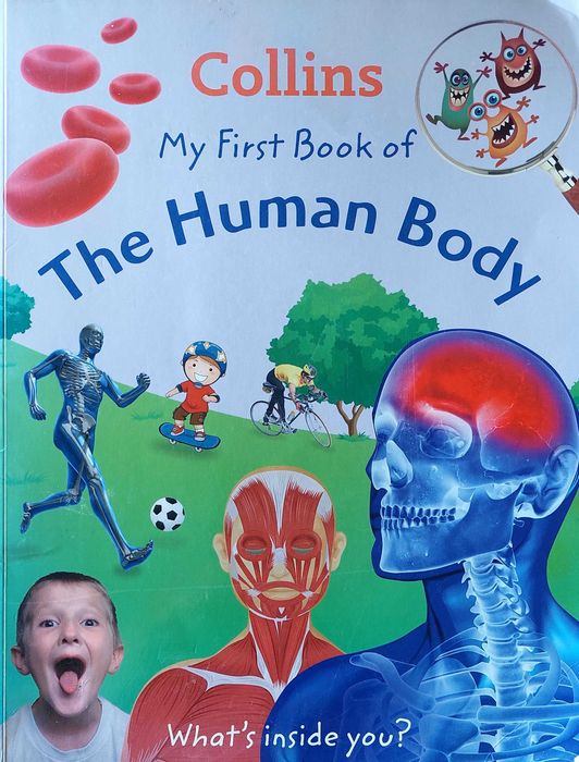 My First Book of the Human Body