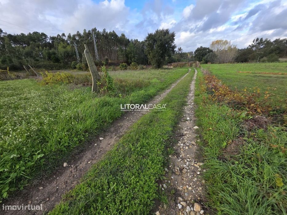 Terreno Agrícola - Eixo