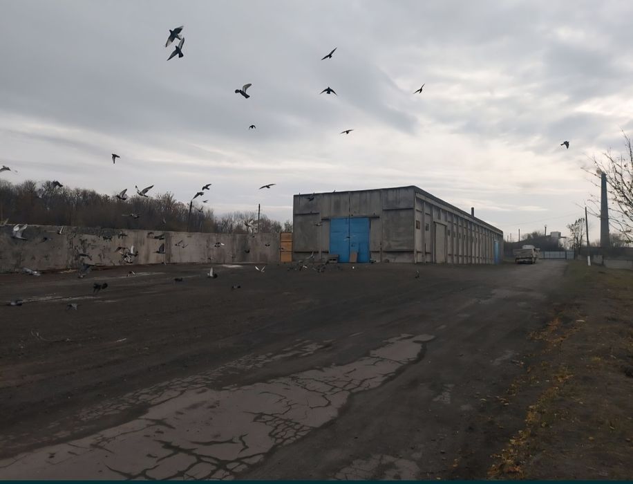 Стоянка  Сильхоз Техники Павлоград Терновка