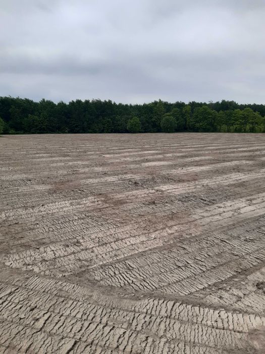 mulczowanie mulczer lesny i wglebny czyszczenie dzialek wycinka drzew