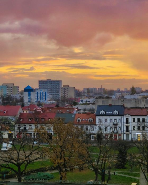 Zdjęcie 8