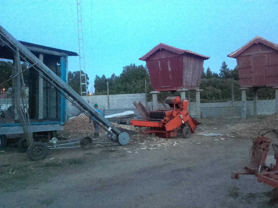 Maquina desfolhar espigas eletrica