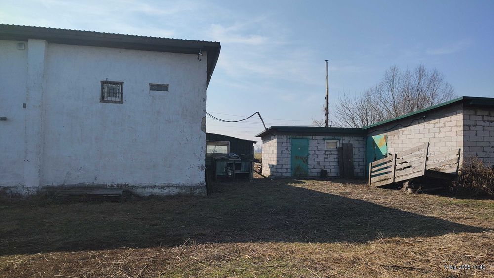 Ферма Свиноферма Скотарство Зерносхови Цех Броварський 600квм 70сот