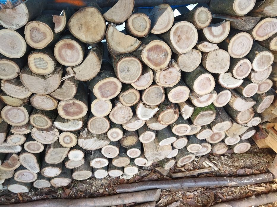 Drewno kominkowe i opałowe