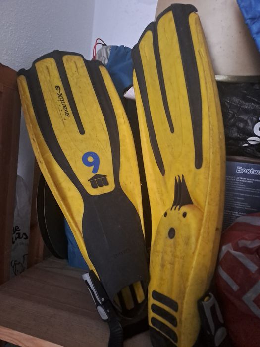 Barbatanas e  cana de pesca